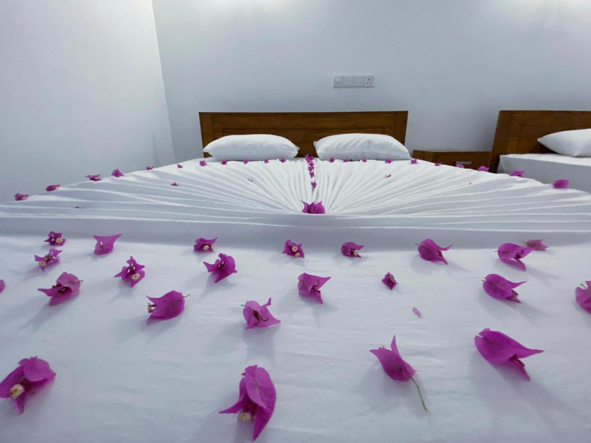 Yala Safari Green Home Stay Tissamaharama Esterno foto